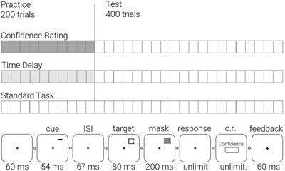 The Effect of Confidence Rating on a Primary Visual Task